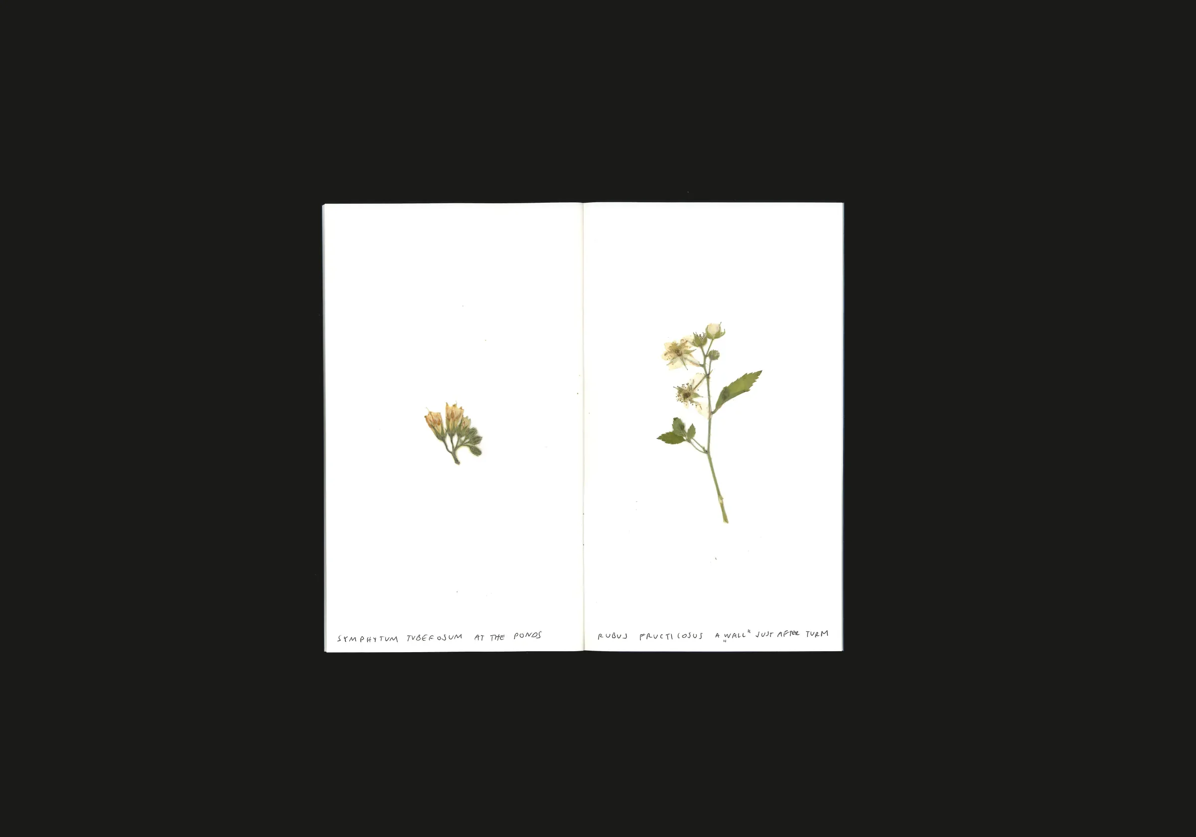Neuss, Germany, image 11